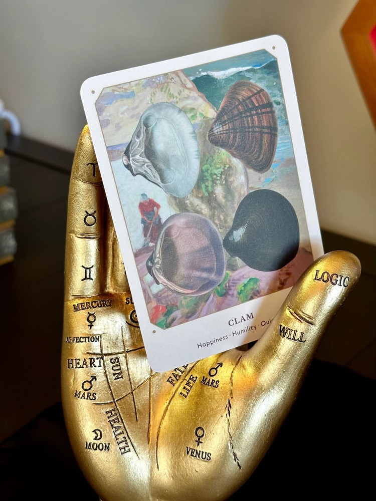 The Seashell Oracle Deck 44 Card Deck for Divination by Broccoli