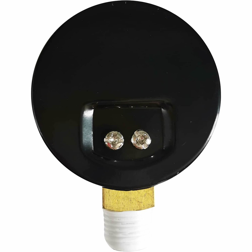Pressure Gauge Replacement for Select Sand and D.E. Filter ecx270861