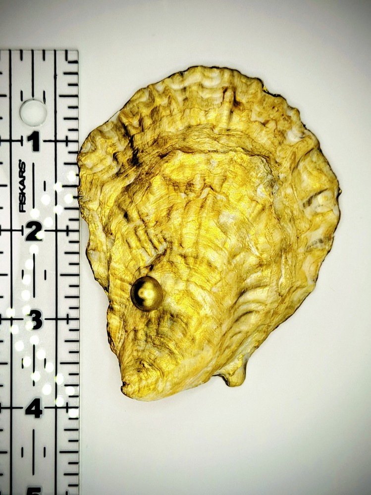 Handcrafted Decoupaged Oyster Shell Ring/Trinket Dish