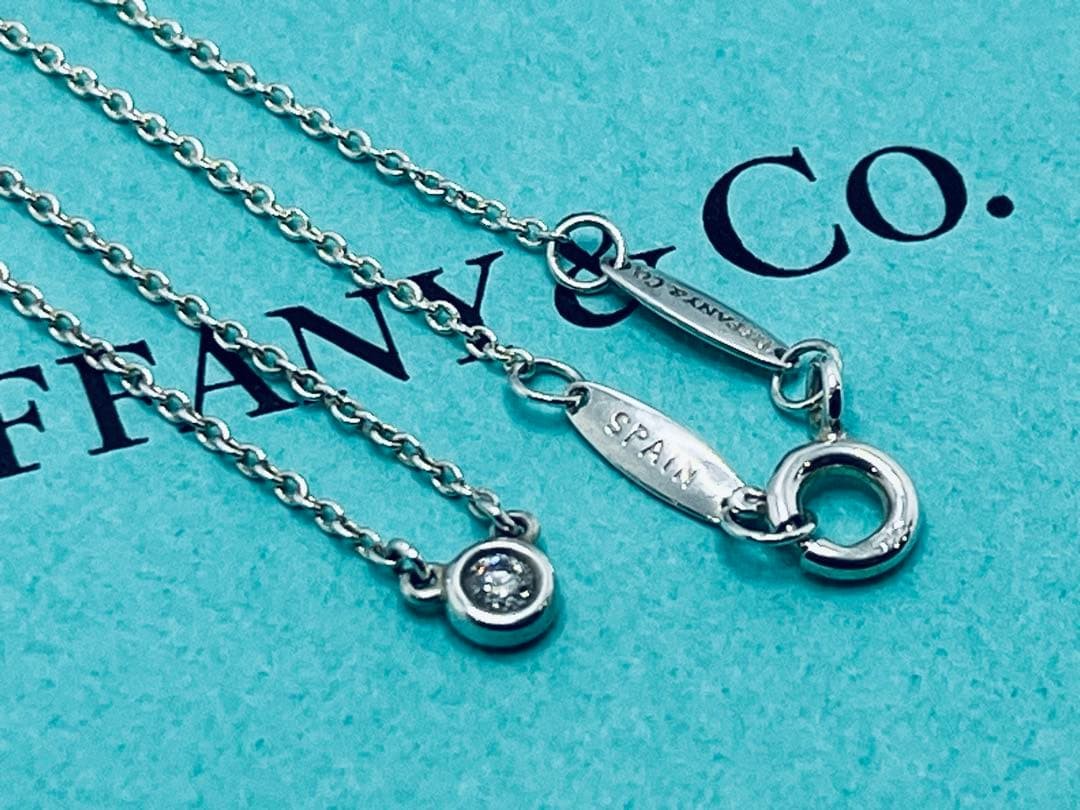 h887 Excellent condition Tiffany & Co. By the Yard diamond necklace, sterling