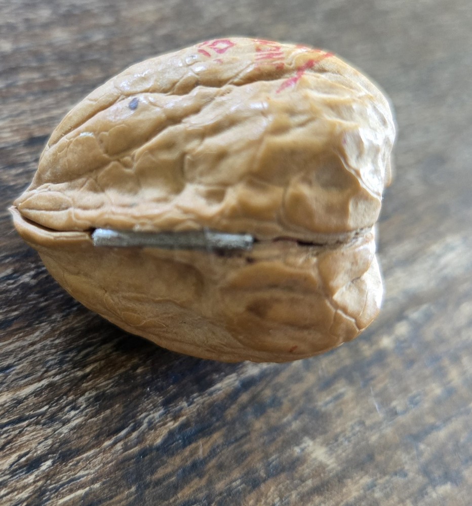 Tiny Laser Cut Ship In Bottle * In A Real Walnut Shell * Folk Art Whimsy  MINT! 