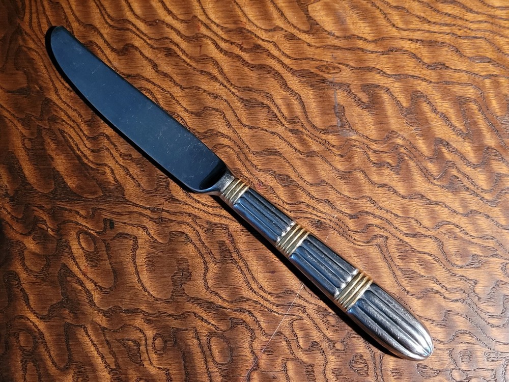 GOLDEN STRATA ~ PFALTZGRAFF ~ Stainless Dinner Knife