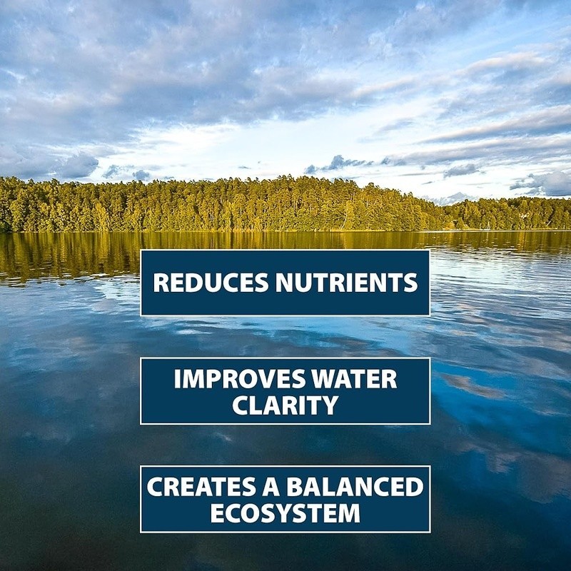Natural Pond Water Clarifier Bacteria Enzyme Packets EcoBoost Clear Solution New