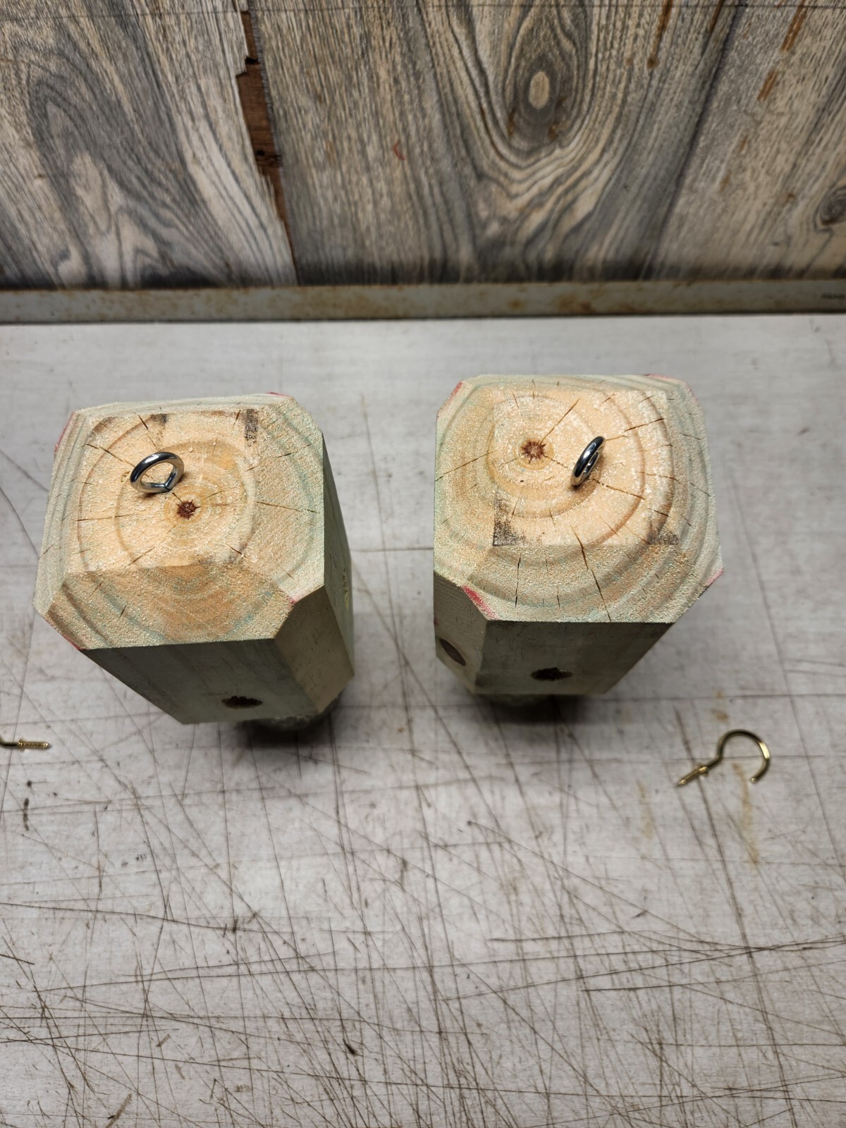 lot of 4 carpenter bee traps