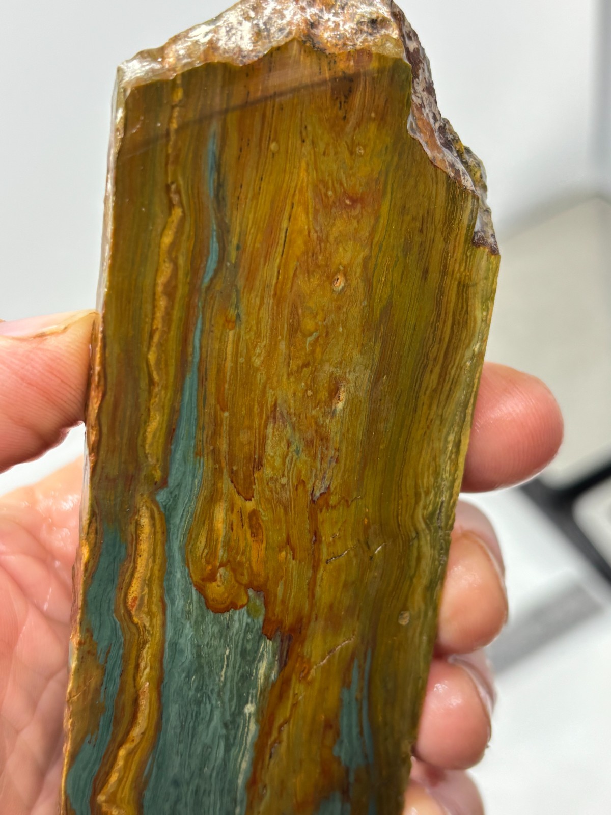 Gary Green Caldera Freedom Jasper Slab Cabbing Lapidary Combo Ship Avail