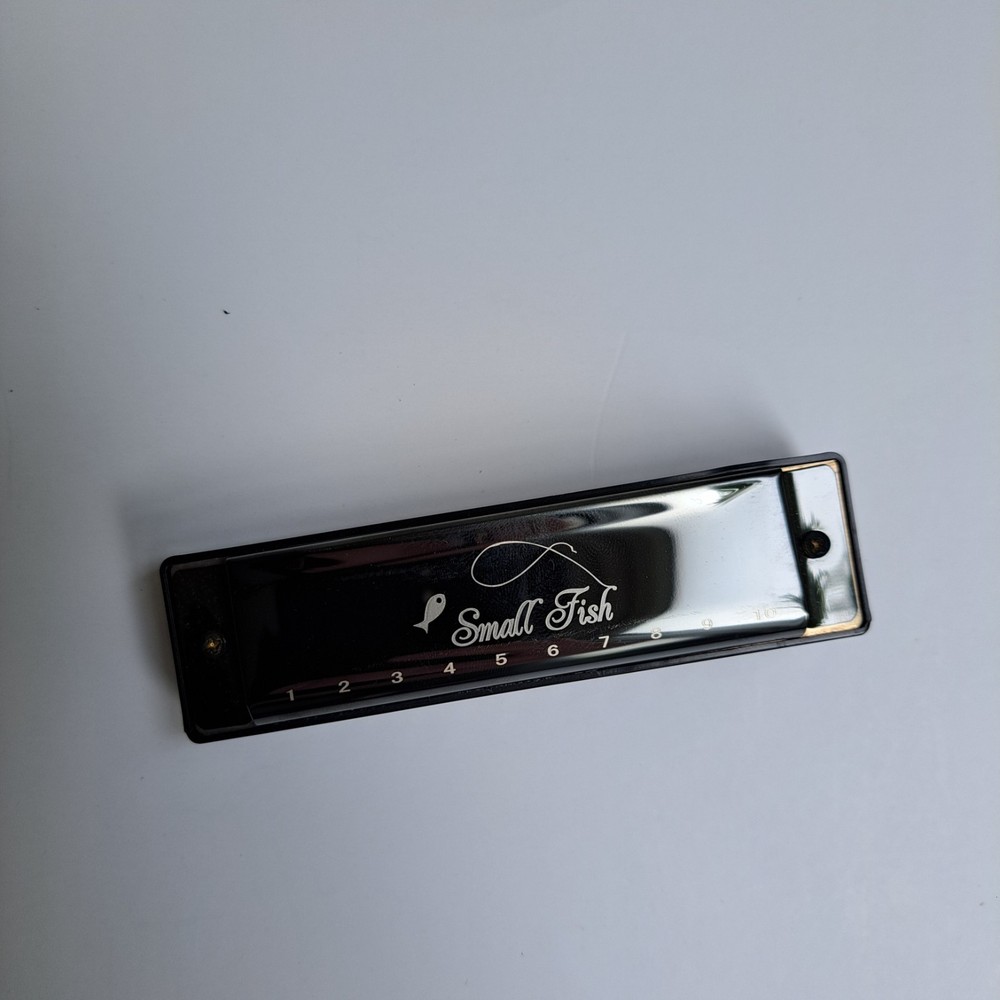 Small Fish 10‑Hole Diatonic Harmonica – Beginner Model w/ Box