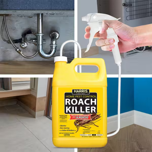 1 Gal. Roach Killer Spray (2-Pack)
