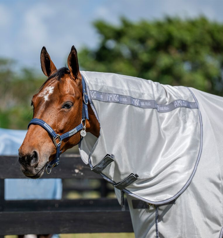 Amigo Bug Rug Plus - Silver/Titanium Grey