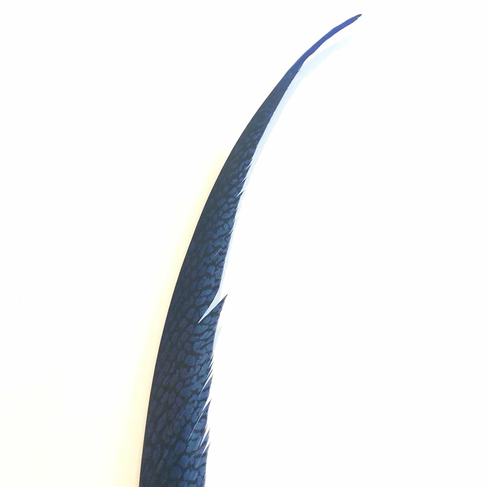 Golden Pheasant Centre Tail Feather - Royal Blue ((SECONDS))
