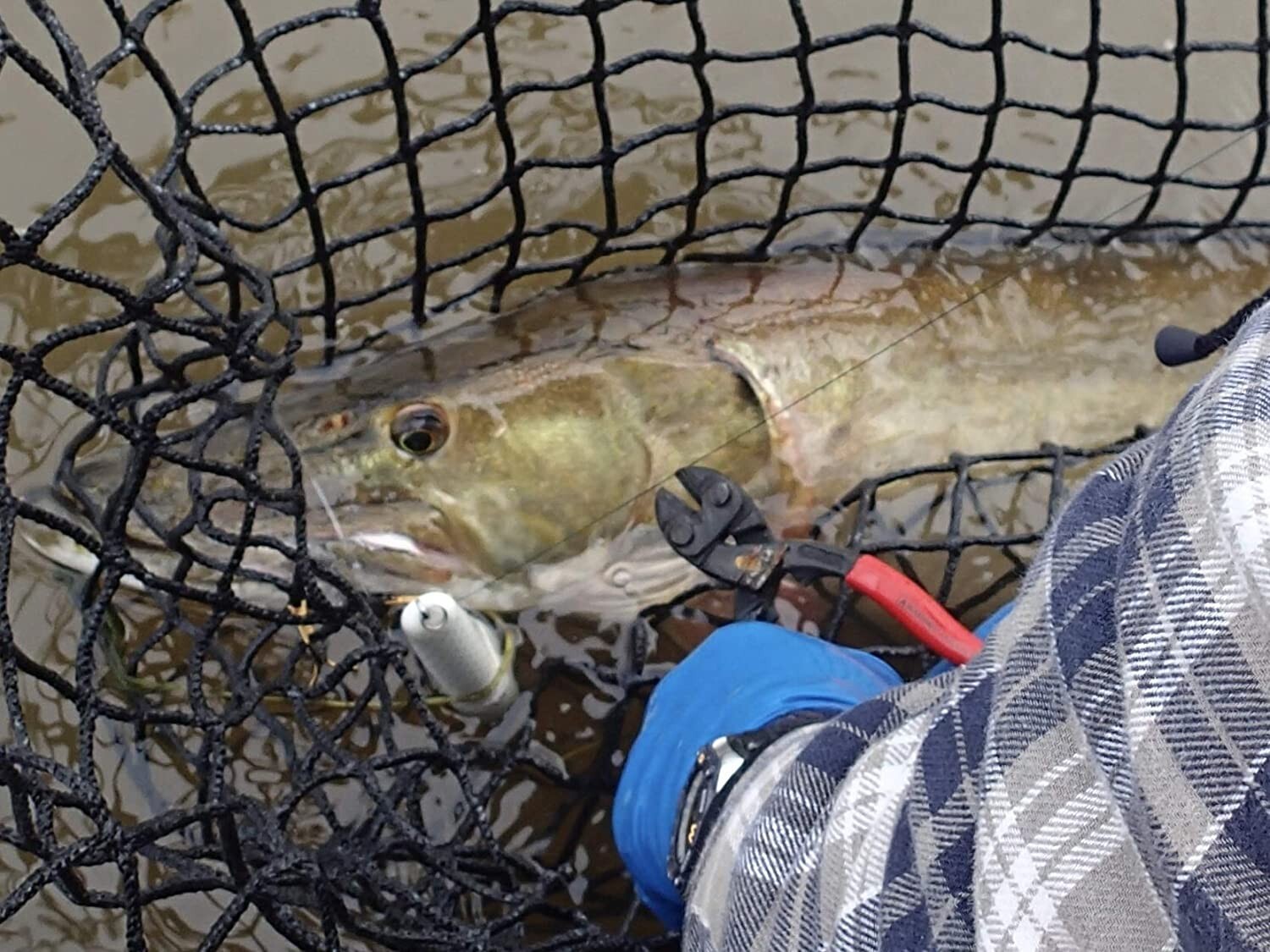 Knipex 71 01 200 8" Knipex Cobolt Compact Bolt Cutter, Plastic Grip