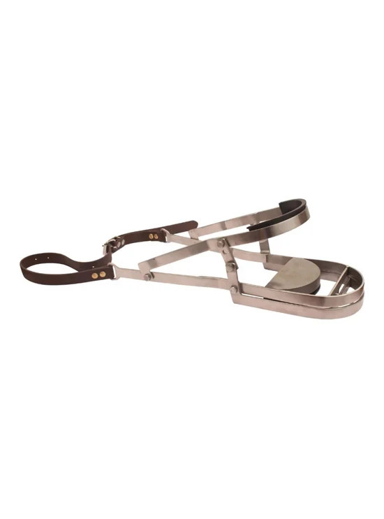 Camel Dental Speculum Set