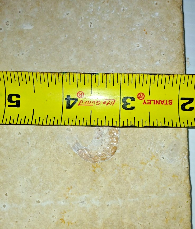 Shrimp Fossil