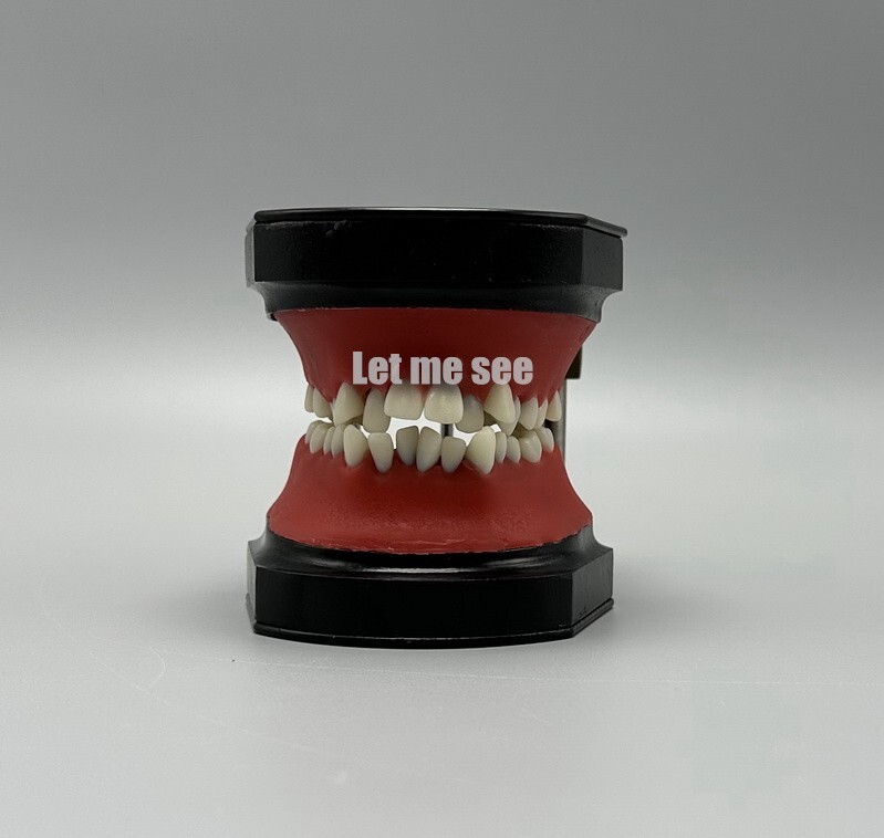 1set Dental Orthodontic Simulator Training Teeth Model Typodout Model