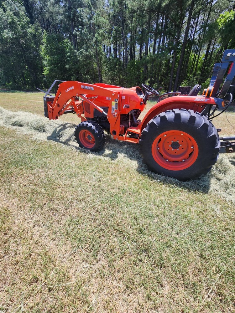 Horse Hay