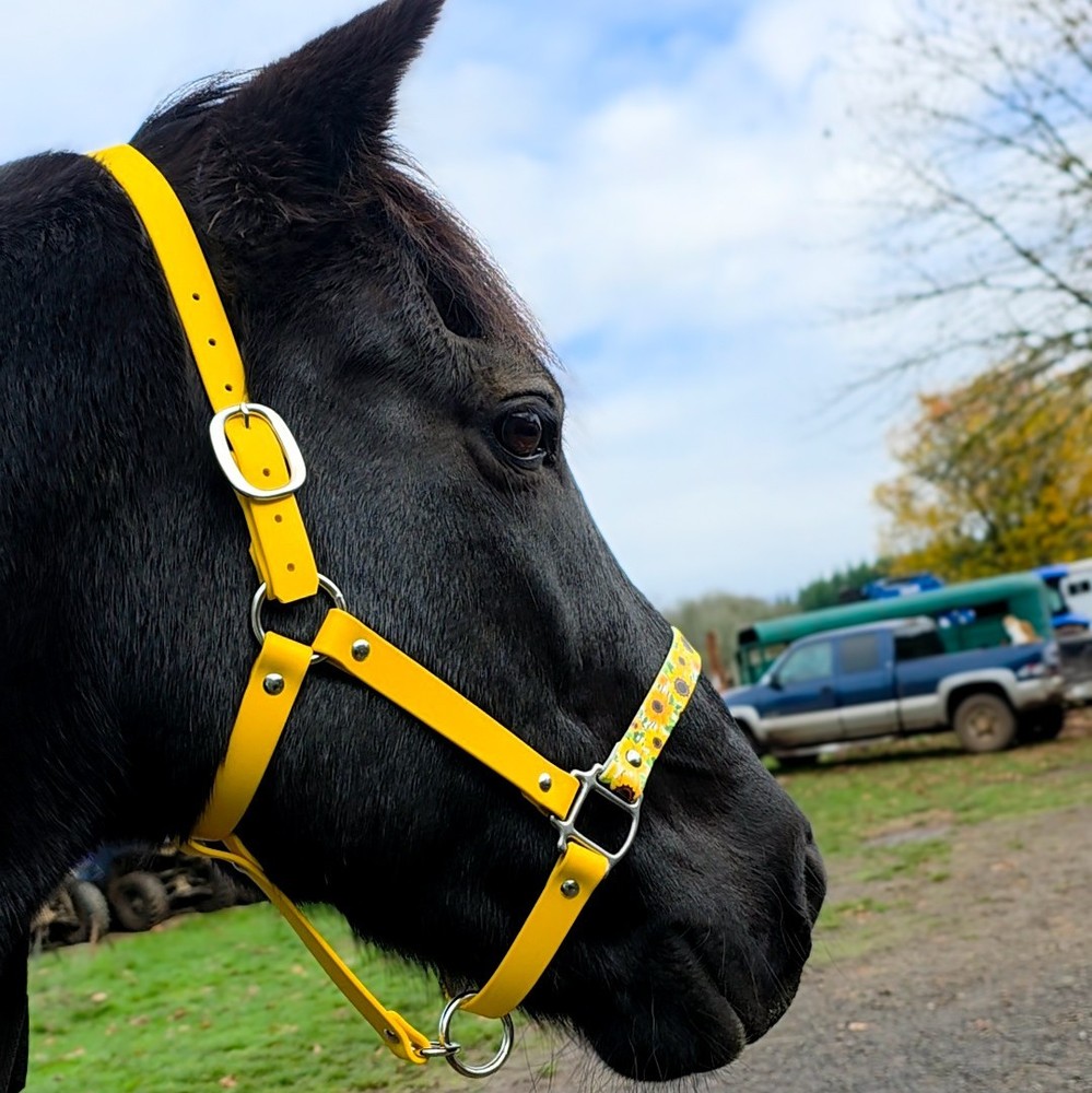 Biothane Horse Halter - Sunflowers