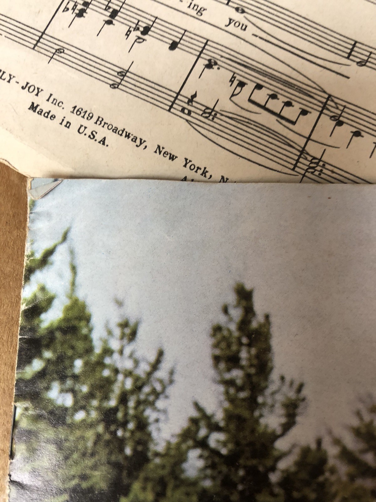 1965 Chevrolet Chevelle Malibu Super Sport SS Wagon 300 Original Sales Brochure