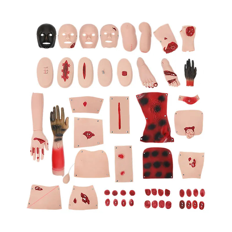 Trauma Evaluation Module Emergency Care Medical First Aid Simulation Model 16Pcs