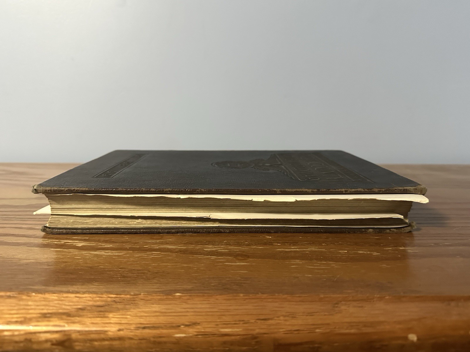 Antique 1919 Knox County In The World War WWI Era (Tennessee) (Shelf 1B1) Book