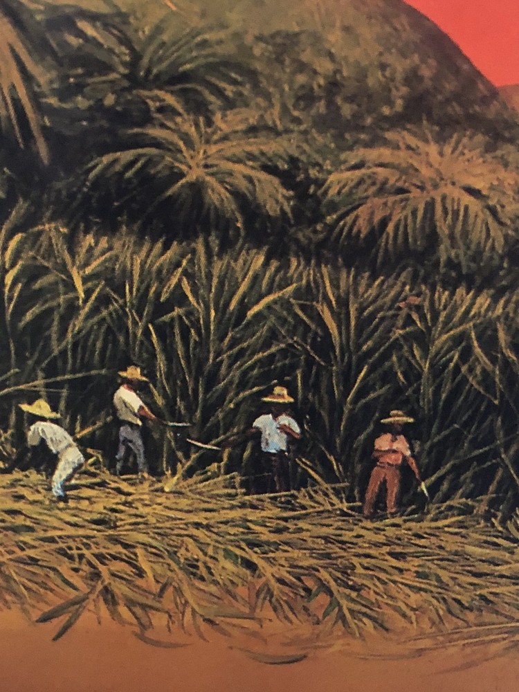 Apple Esata EMPTY Jamaica Rum Tin. Ref:01