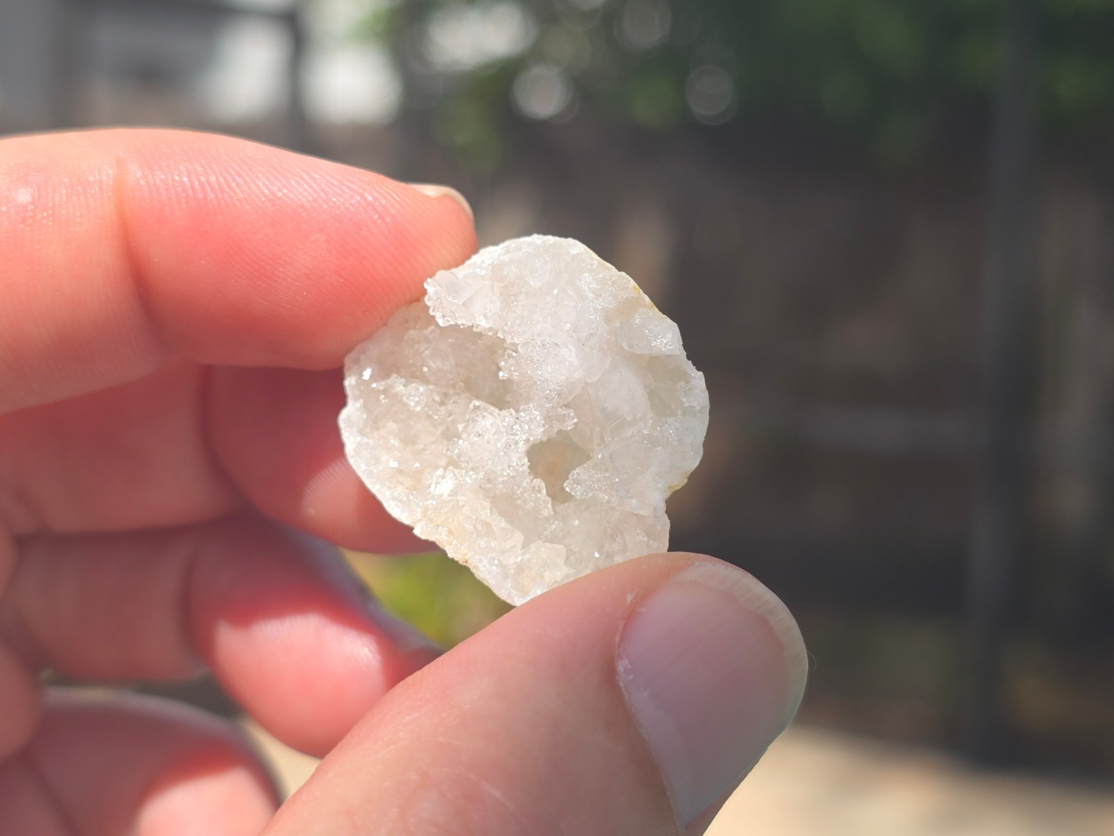 🔥 Gold Pan + 1lb Concentrate Paydirt Prospector Kit – Georgia - Nuggets, Fines