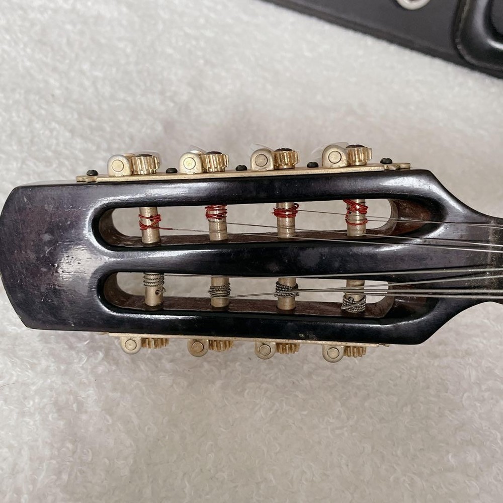 SUZUKI Mandolin M-60 with hard case