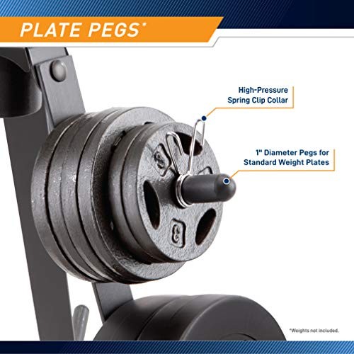 Plate Tree for Standard Size Weight Plates/Storage Rack for Exercise Weights