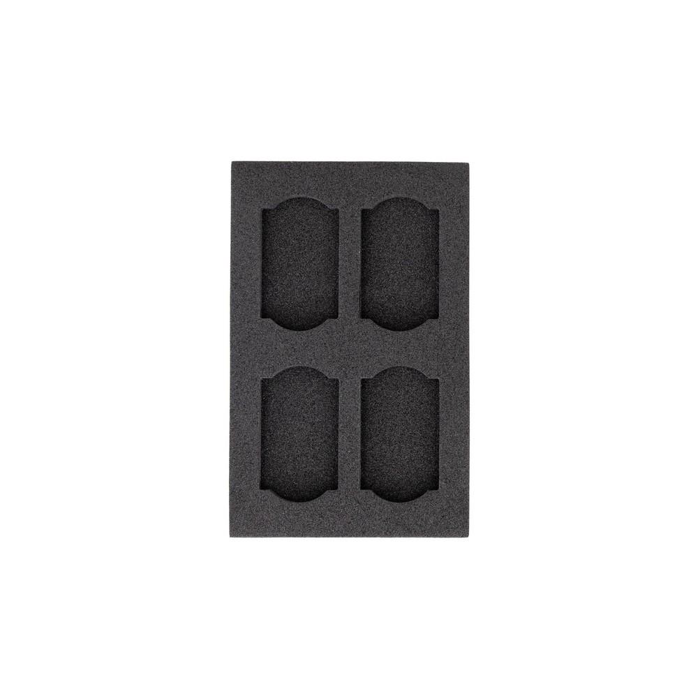 Promaster Multi-Format Memory Case Closeout