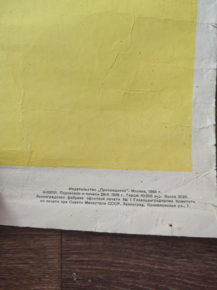 BIOLOGY SCIENCE VINTAGE SCHOOL CHART