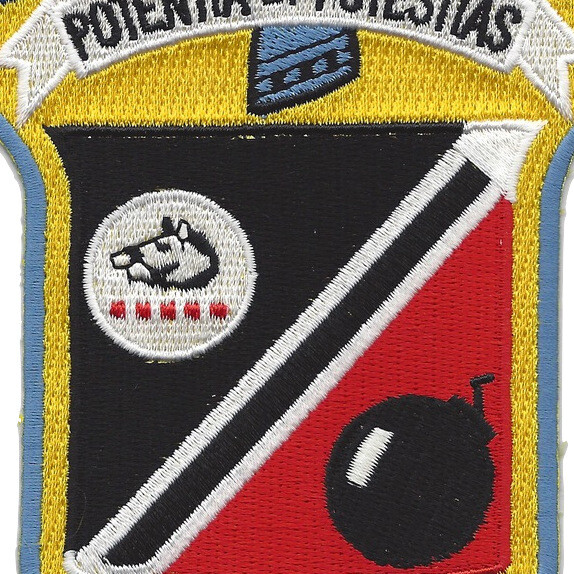 VF-13 Aviation Fighter Squadron Patch