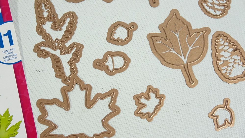 Spellbinders Shapeabilities Fall Foliage Craft Dies S5120