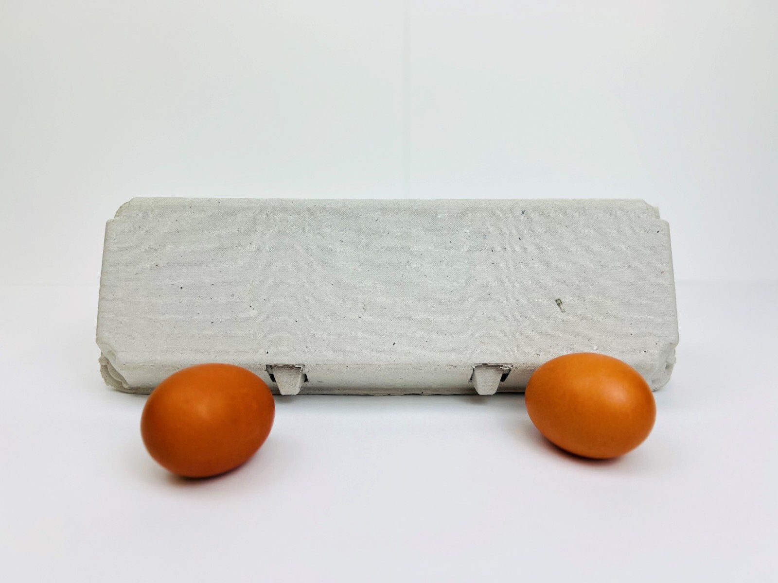 Non-Printed Egg Carton - 100 units