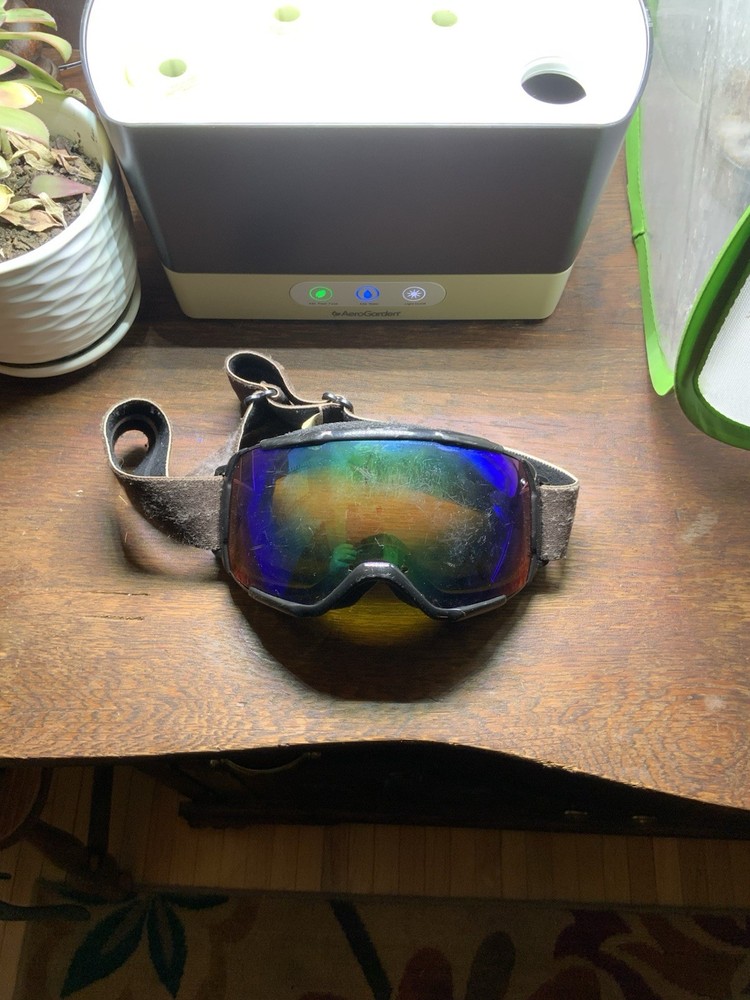 Smith Goggles