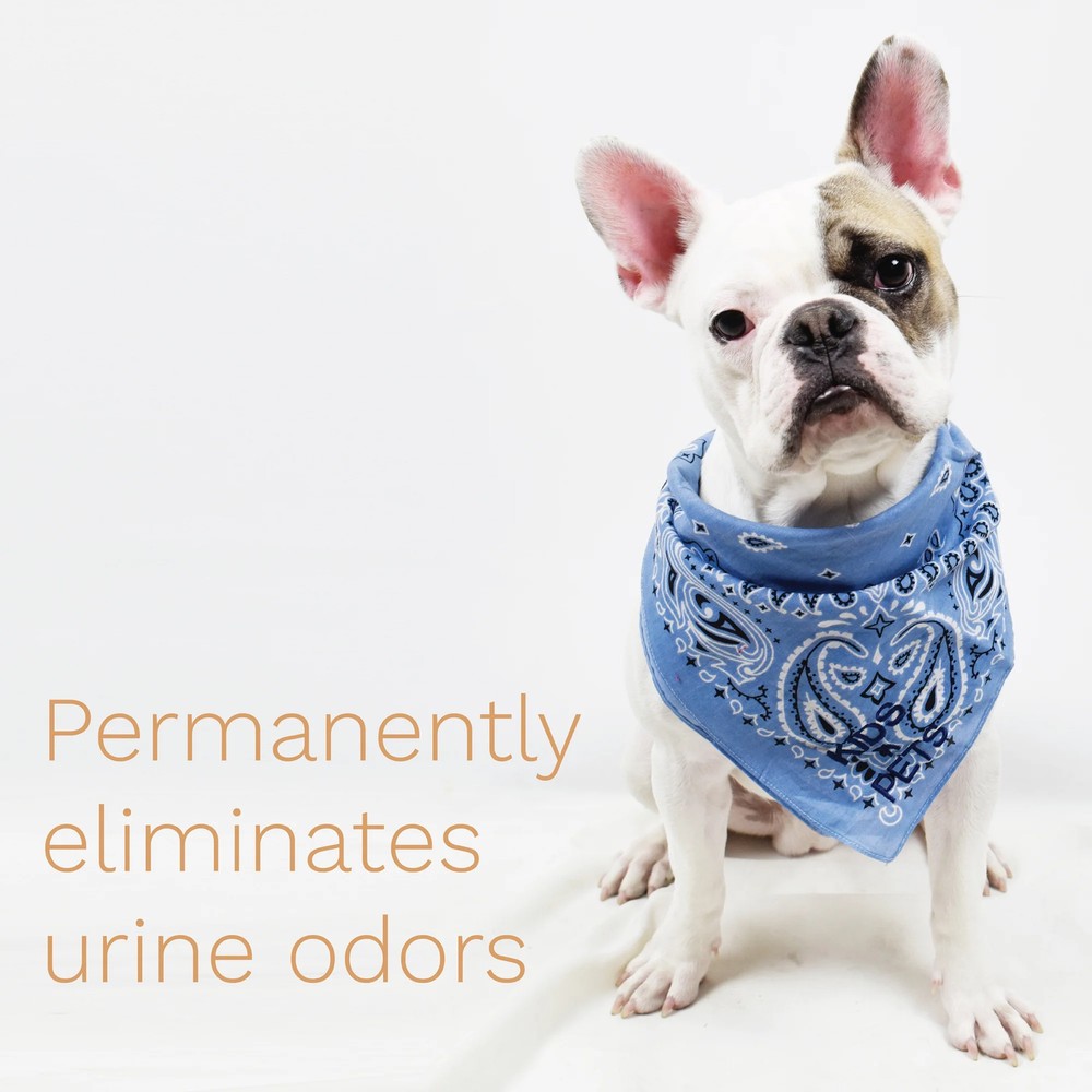 Stain Odor Remover Cleans Smells Spots
