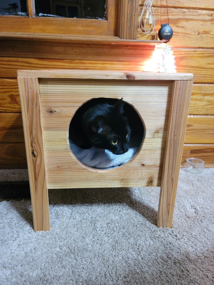 Hand Made Cedar Cat Bougie Condo Bed