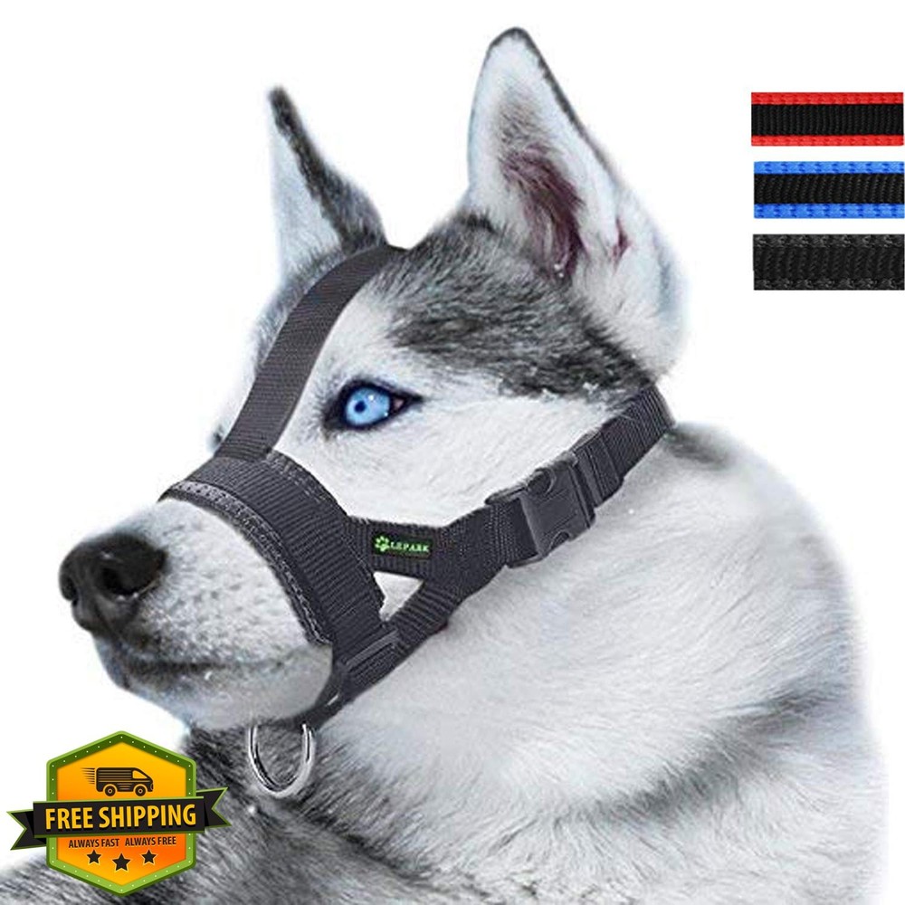 Head Strap Dog Muzzle, Prevent Paw Removal, Black, Medium