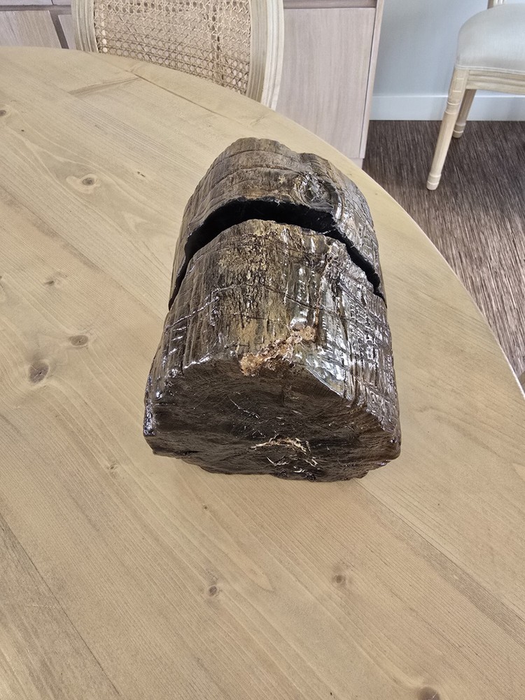 Petrified Wood Book Ends Glossed