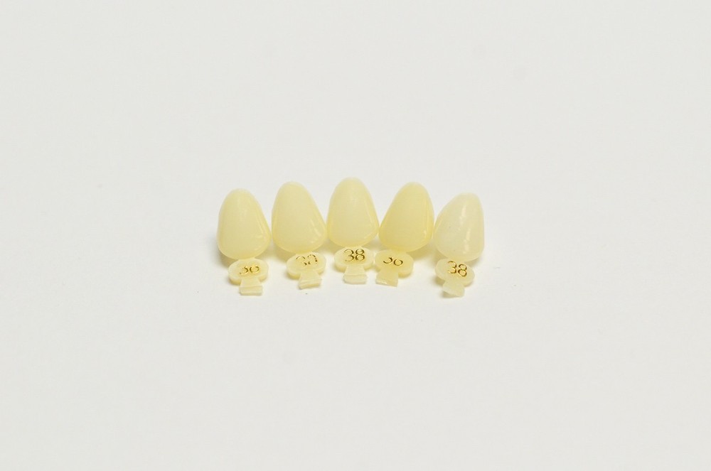 DENTAL POLYCARBONATE TEMPORARY CROWNS #38 (ULC) UPPER LEFT CUSPID 5/PACK