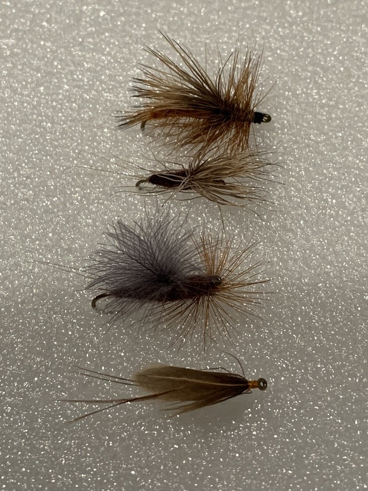 Assorted Freshwater Flies For Trout