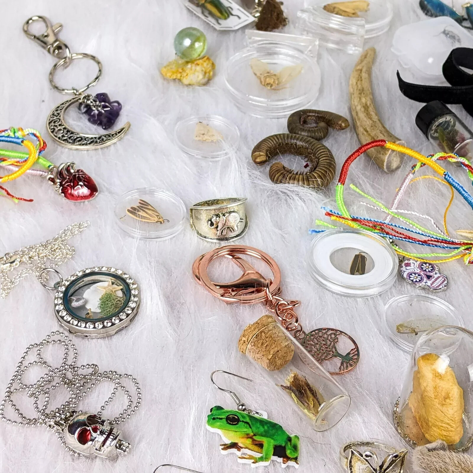 MYSTERY Lot BOX Small Curiosity or Oddity box 4 / 6 item gift surprise package