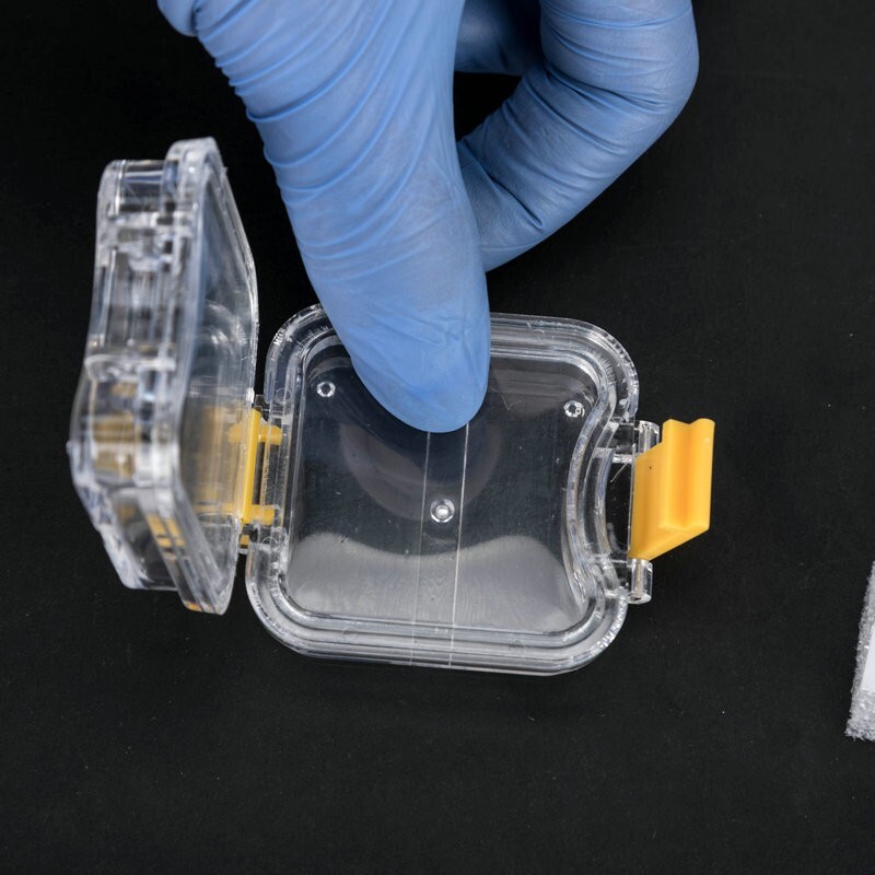 10Pcs Denture False Teeth Membrane Case Container Hinged Display Box Jewelry
