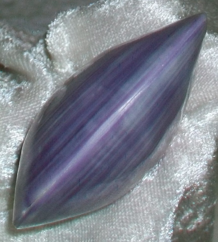 Hand Polished Violet Purple Saltwater Clam Clamshell Beach Nautical Table Decor