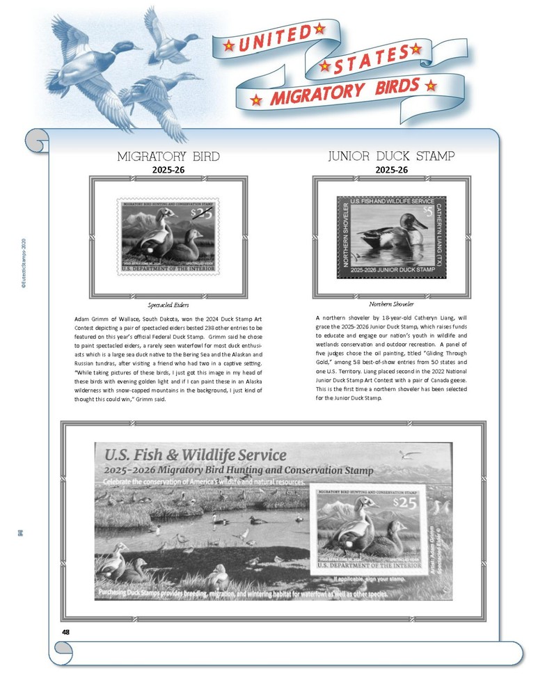 U.S. Federal Duck Stamp Supplement 2025-26 (White Ace Alternative)