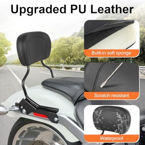 Rear Upright Passenger Backrest with Pad & Docking Hardware Kit Sissy Bar