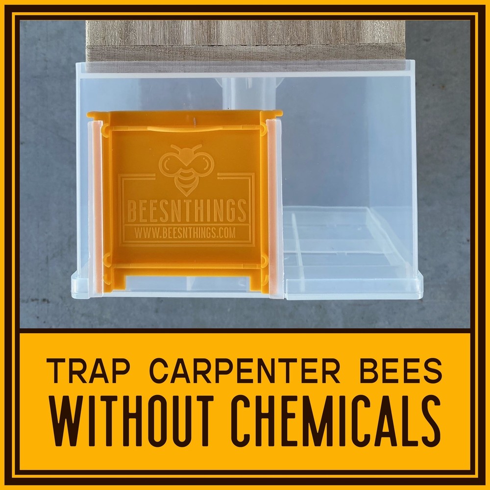 Bees N Things Outdoor Carpenter Bee Trap
