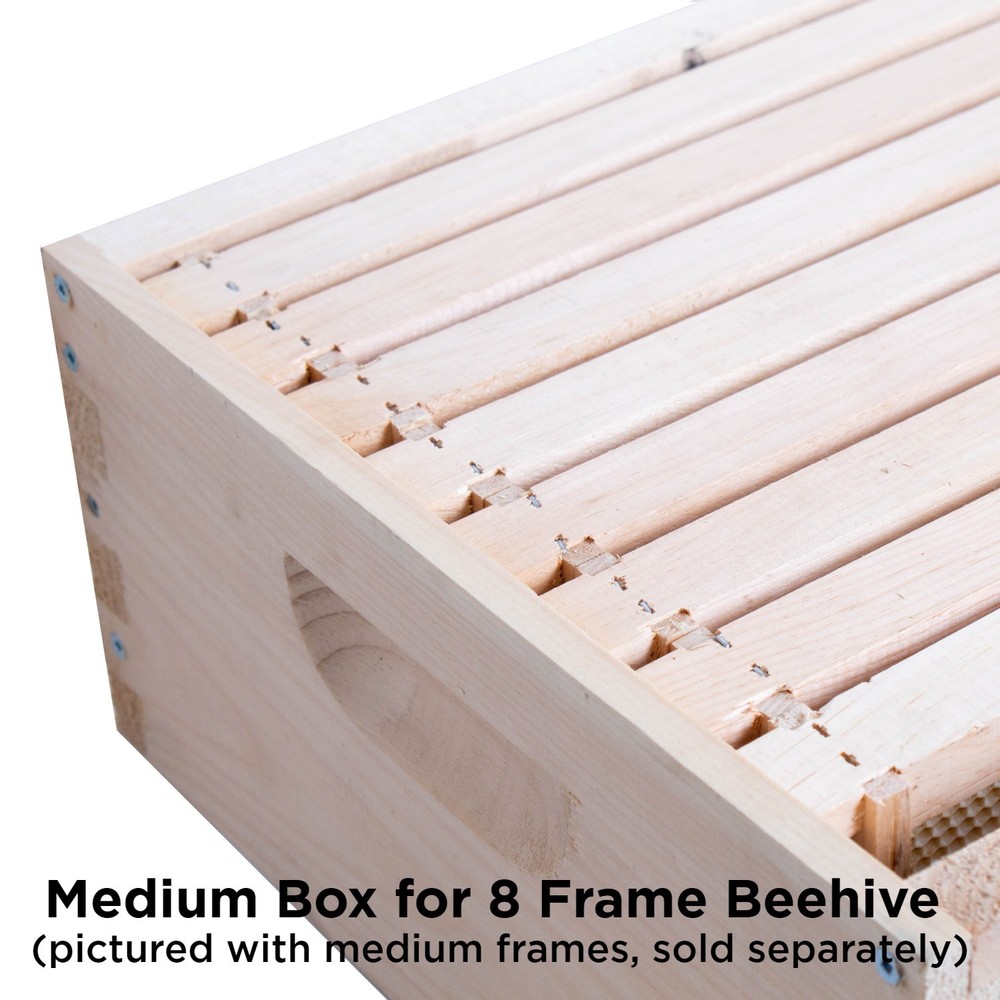 Beekeeping Beehive Box, 10 Frame Medium Assembled Honey Bee Super or Brood Box