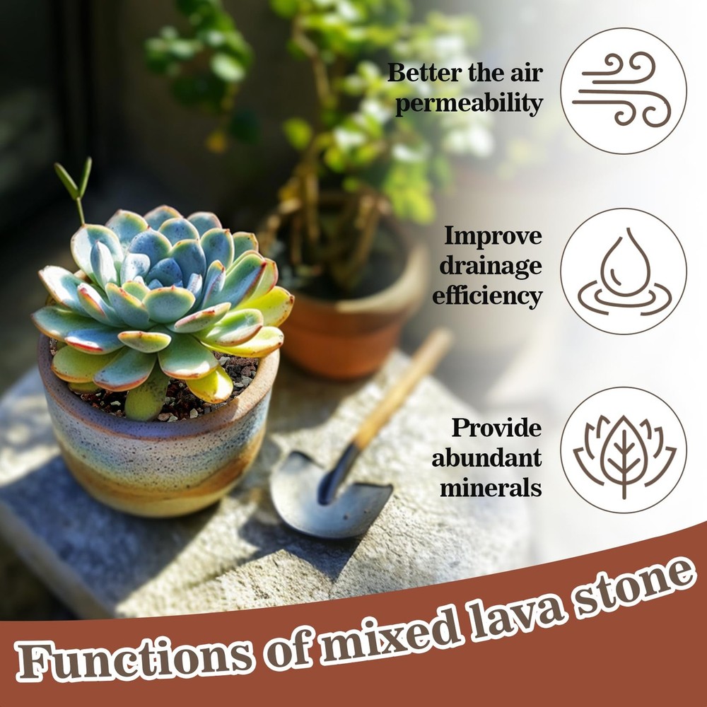 Sukh 2LBS Horticultural Succulent Rocks Bonsai Mix