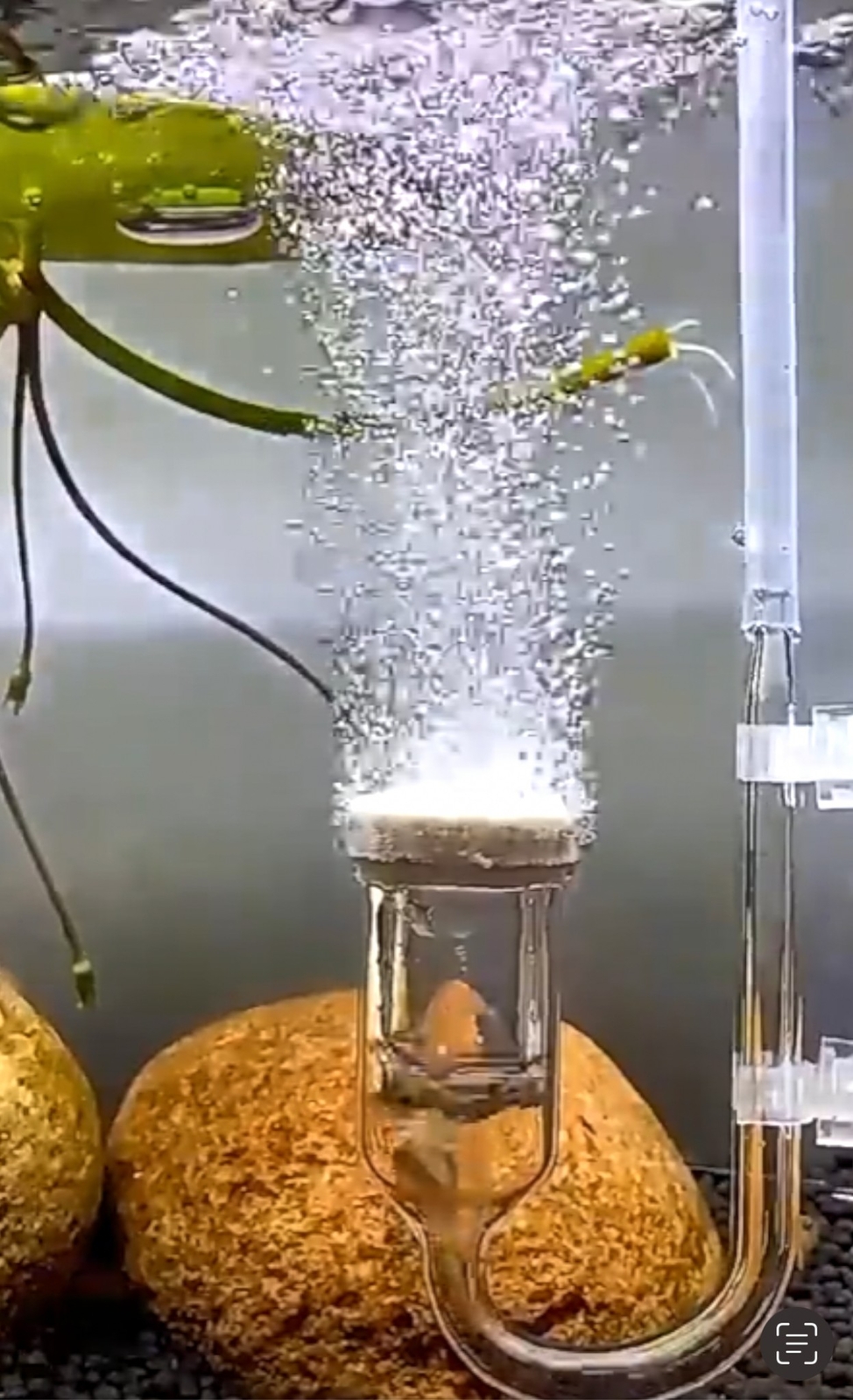 Fish Aquarium Nano Air Bubble Stone Diffuser Atomizer Tube Increase Oxygen