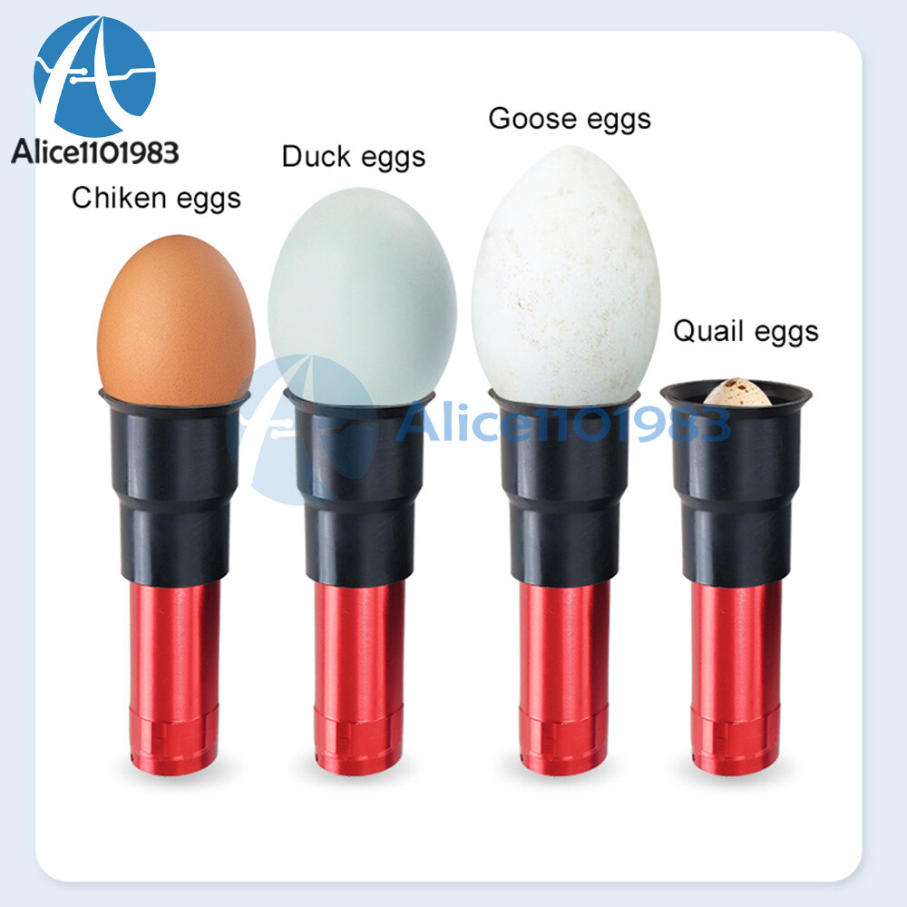LED Egg Tester Cold Light Incubation Flashlight Check Breeding Egg Detector Lamp