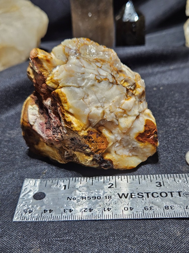 Petrified Wood Fully Opalized Natural Form (9.9oz)