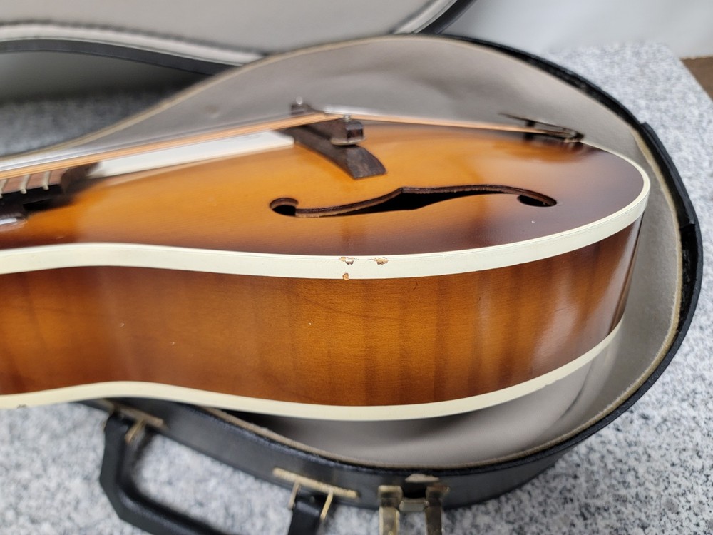 Vintage Kay Mandolin 8-String(Missing One) N7?